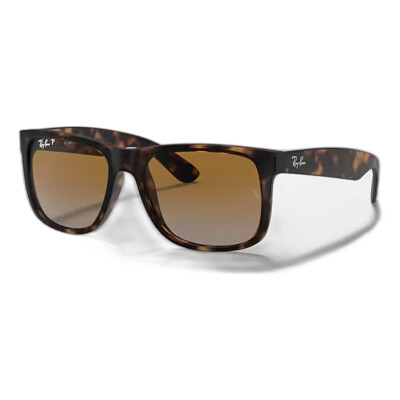 Rayban Justin