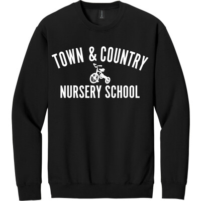 Midweight Crewneck Sweatshirt- DTF Transfer