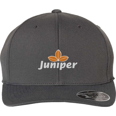 110 Pro-Formance Cap - 110C (EMB)