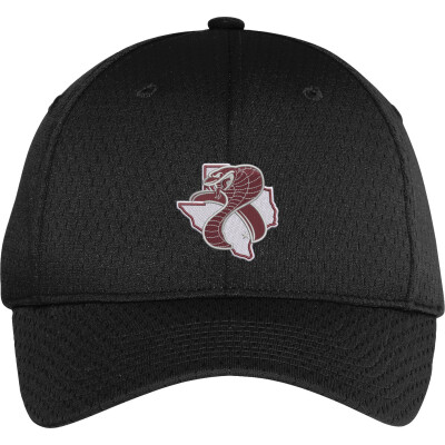 Pro Mesh Cap