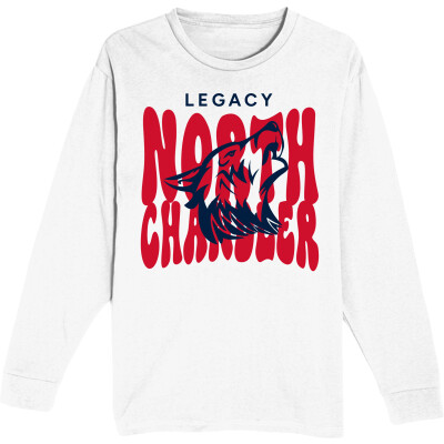 Unisex Heavyweight Long Sleeve Tee