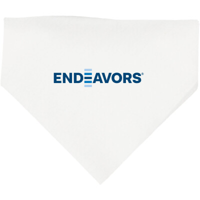 Doggie Bandana