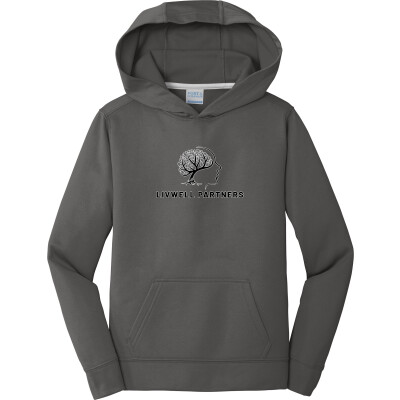 Youth Performance Fleece Pullover Hooded Sweatshirt