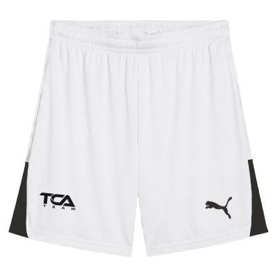 Puma Men's TEAMLIGA26 Shorts