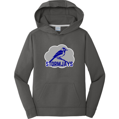 Youth Performance Fleece Pullover Hooded Sweatshirt