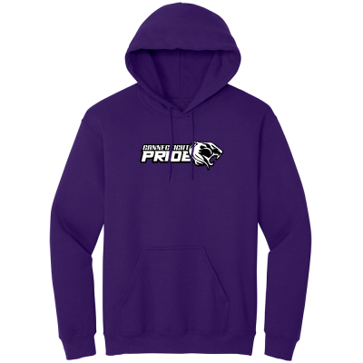 Gildan Adult Heavy Blend Hooded Sweatshirt