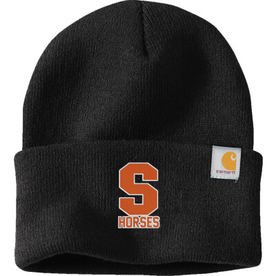 Carhartt Watch Cap 2.0