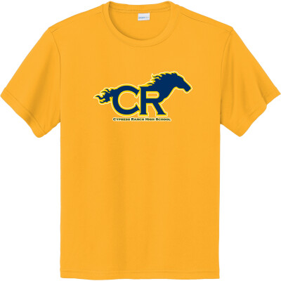 Cy Ranch Baseball