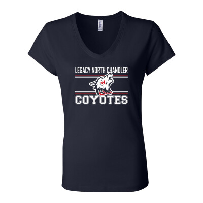 Women’s Jersey V-Neck Tee