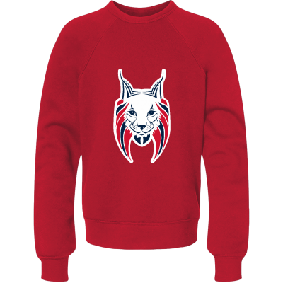 Youth Sponge Fleece Crewneck Sweatshirt