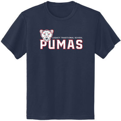 Youth PosiCharge Competitor Tee