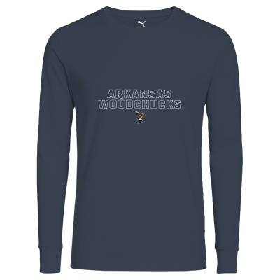 Puma Adult City LS Tee