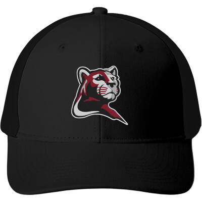 Snapback Trucker Cap