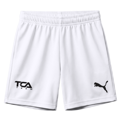 Puma Youth TEAMRISE Shorts