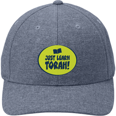 PORT AUTHORITY Flexfit 110 Performance Snapback Cap - C301 (DTF)