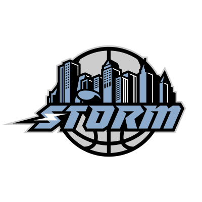 Capital District Storm Basketball_SpecialDesign1.png