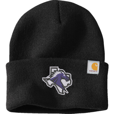 Carhartt Watch Cap 2.0