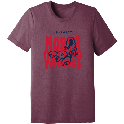 Unisex Triblend Short Sleeve Tee