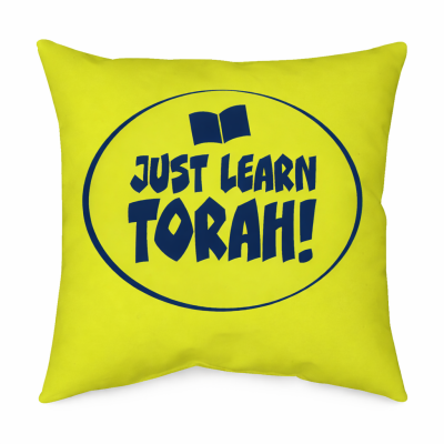 Pillow  - Spun Polyester ( Insert included )