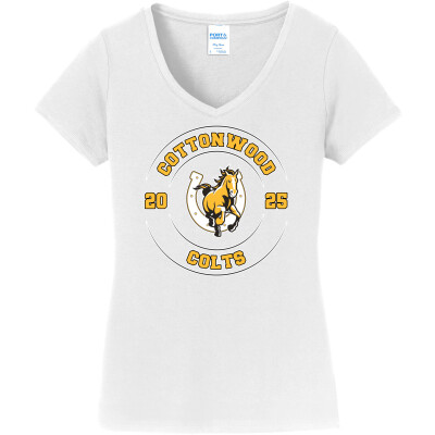 Women's Fan Favorite V-Neck Tee