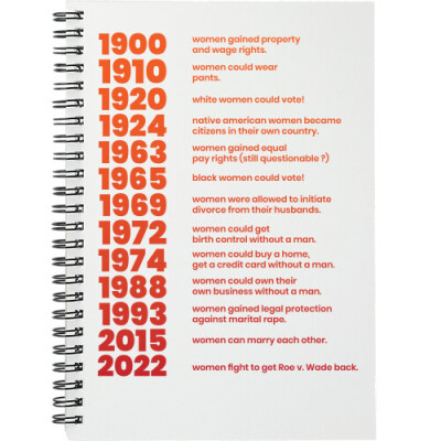 The Right to Write 6x8 Journal Notebook