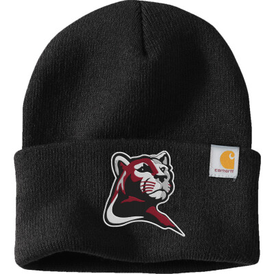 Carhartt Watch Cap 2.0