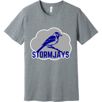 Bella+Canvas Unisex Heather CVC Short Sleeve Tee