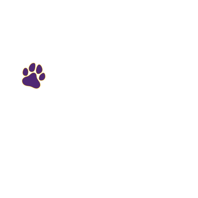 Ballston Spa HS Bys Tennis_SpecialDesign2.png
