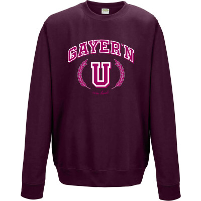 University Pride - Midweight College Crewneck Sweatshirt