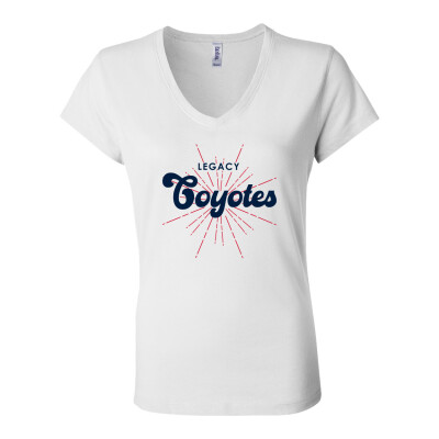 Women’s Jersey V-Neck Tee