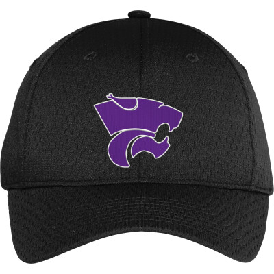 Pro Mesh Cap