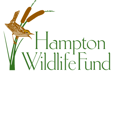 LOGO HWF  TEXT COLOR.png