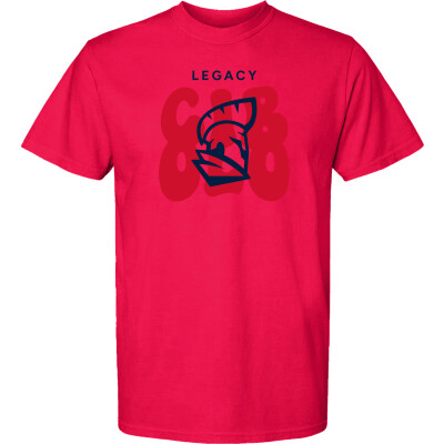 Heavyweight Ring Spun Tee