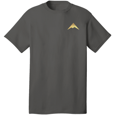 PORT & COMPANY Core Cotton Tee - PC54 (DTF)