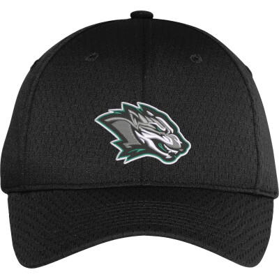 Pro Mesh Cap