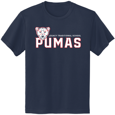 Youth PosiCharge Competitor Tee