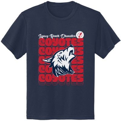 Youth PosiCharge Competitor Tee