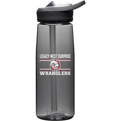 CamelBak Eddy+ 25oz Bottle Tritan Renew