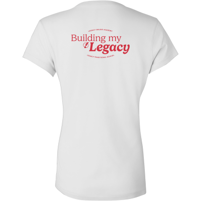 Women’s Jersey V-Neck Tee