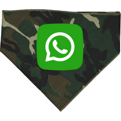 DOGGIE SKINS Doggie Bandana (DTF)