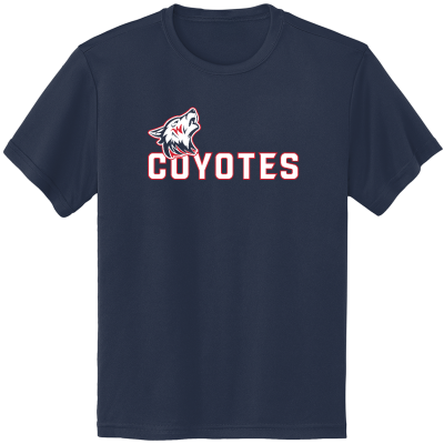 Youth PosiCharge Competitor Tee