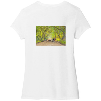 * Special Edition * - Womens Perfect Tri Tee