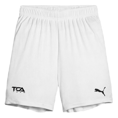 Puma Youth TEAMGOAL Shorts