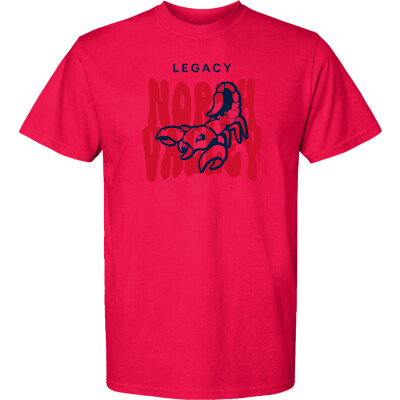 Heavyweight Ring Spun Tee