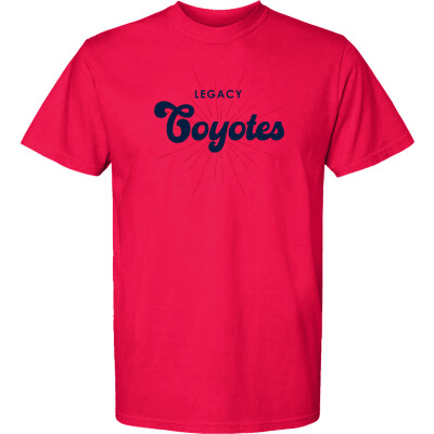 Heavyweight Ring Spun Tee