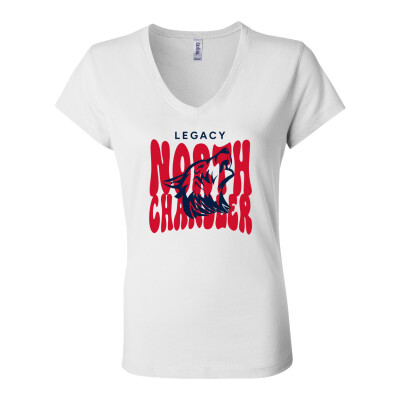 Women’s Jersey V-Neck Tee