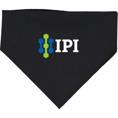 Doggie Bandana