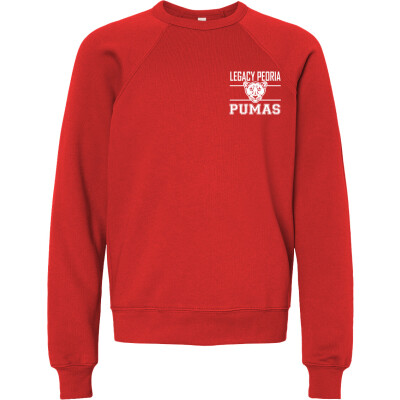 Youth Sponge Fleece Crewneck Sweatshirt