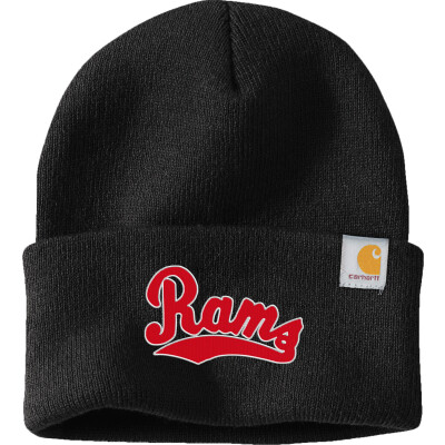 Carhartt Watch Cap 2.0