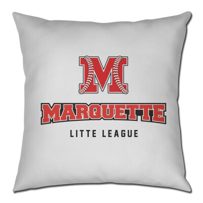 16 inch throw pillow